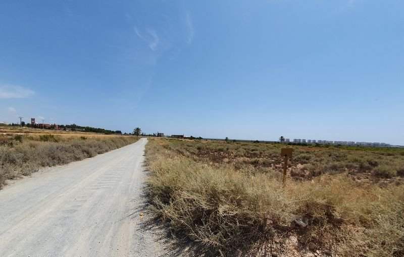 Descubre finca rstica en cdel altet ElcheElx por 74500 de 19703m