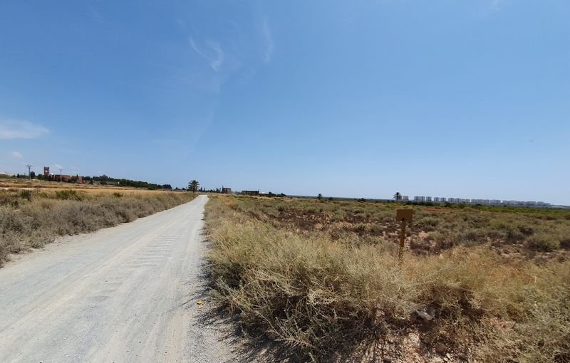 Descubre finca rstica en cdel altet ElcheElx por 74500 de 19703m