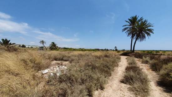 Descubre finca rstica en cdel altet ElcheElx por 74500 de 19703m