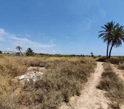 Descubre finca rstica en cdel altet ElcheElx por 74500 de 19703m