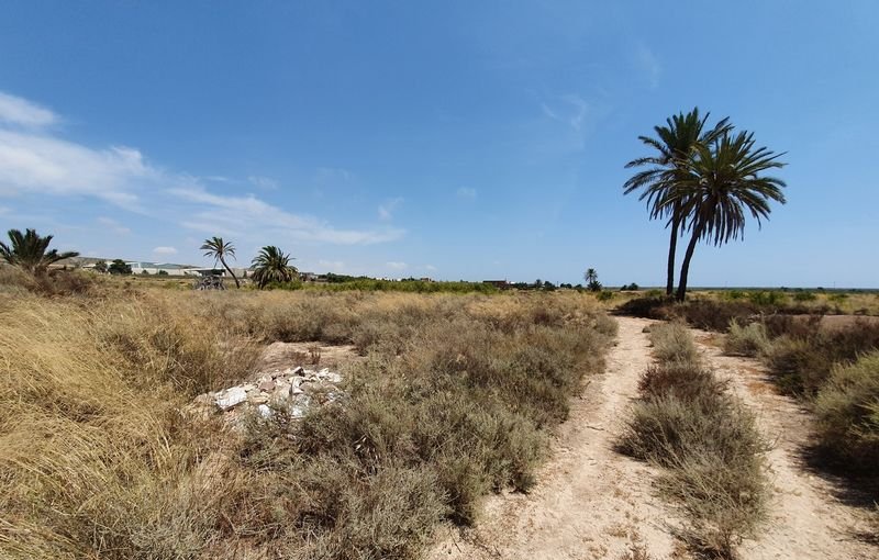 Descubre finca rstica en cdel altet ElcheElx por 74500 de 19703m