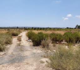 Descubre finca rstica en cdel altet ElcheElx por 74500 de 19703m