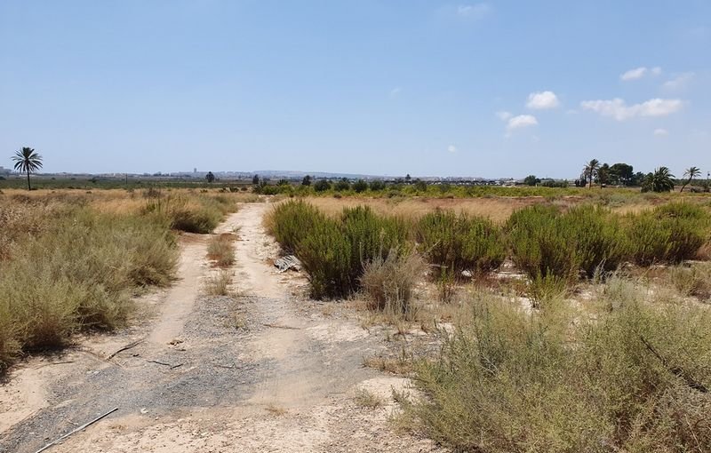 Descubre finca rstica en cdel altet ElcheElx por 74500 de 19703m