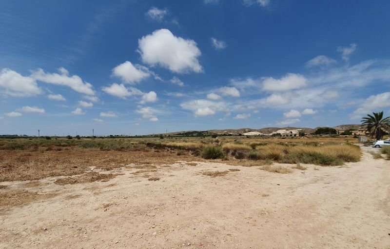 Descubre finca rstica en cdel altet ElcheElx por 74500 de 19703m