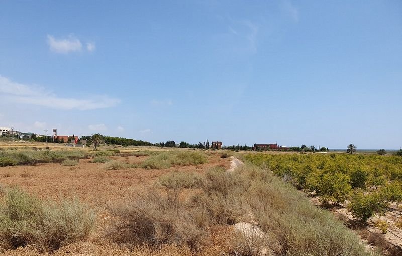 Descubre finca rstica en cdel altet ElcheElx por 74500 de 19703m