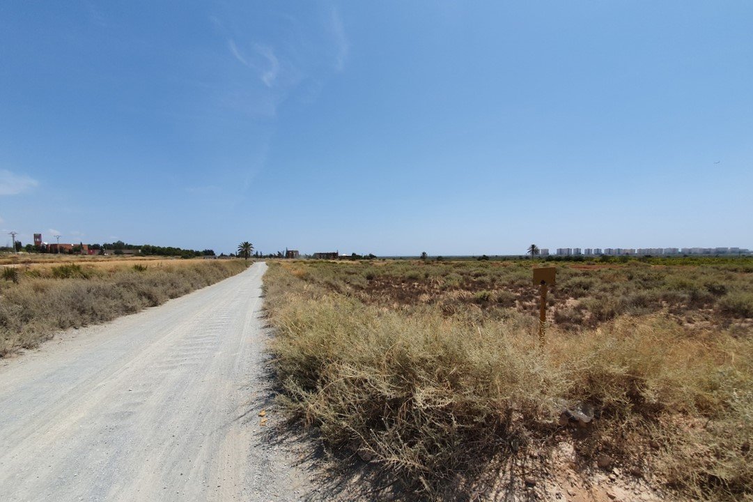 Descubre finca rstica en cdel altet ElcheElx por 74500 de 19703m