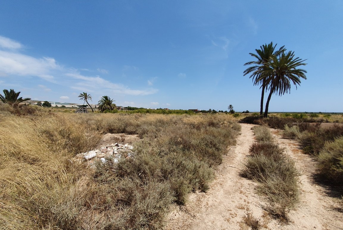 Descubre finca rstica en cdel altet ElcheElx por 74500 de 19703m