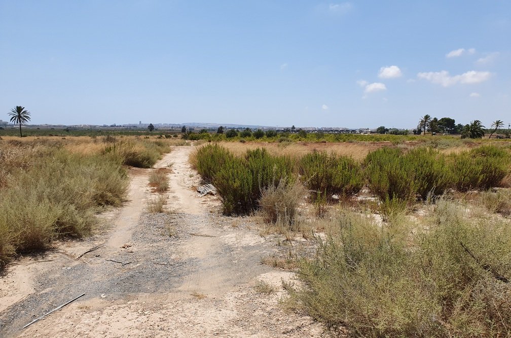 Descubre finca rstica en cdel altet ElcheElx por 74500 de 19703m