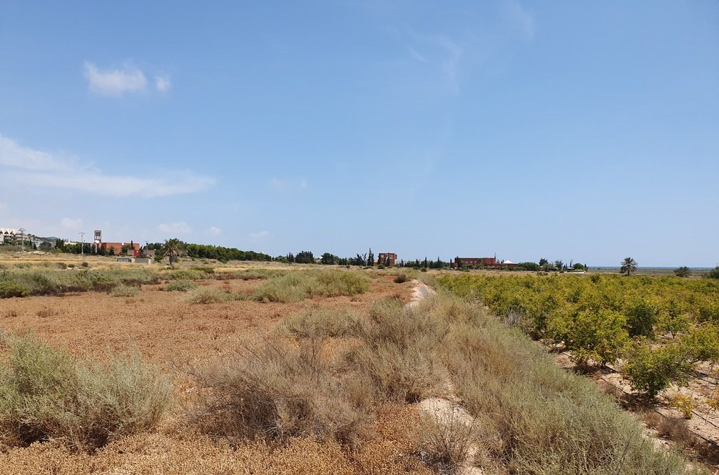 Descubre finca rstica en cdel altet ElcheElx por 74500 de 19703m