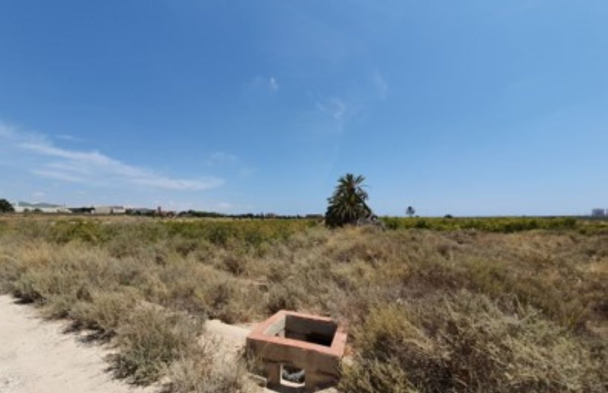 Descubre finca rstica en cdel altet ElcheElx por 74500 de 19703m