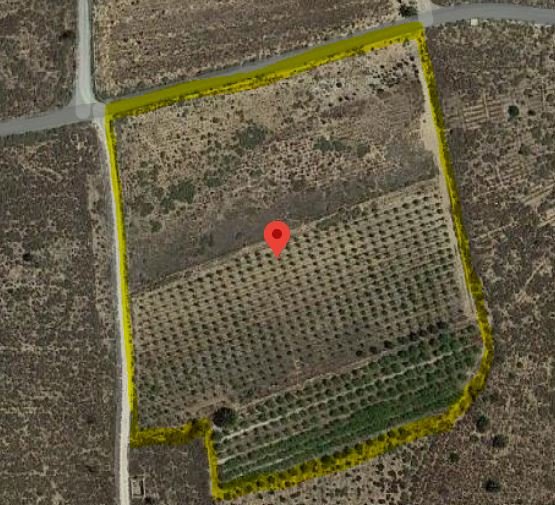 Descubre finca rstica en cdel altet ElcheElx por 74500 de 19703m