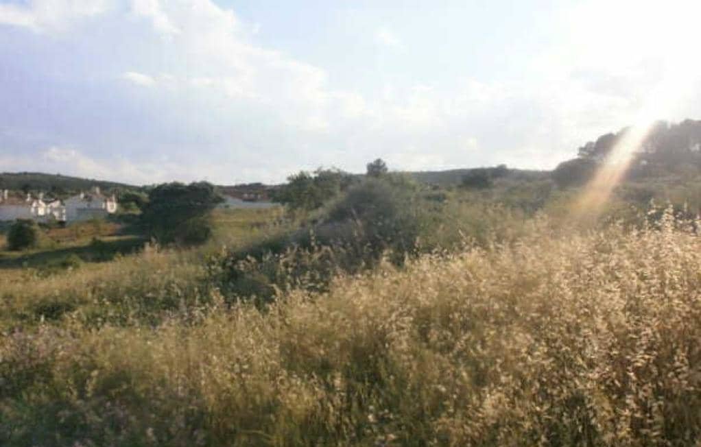 No Urbanizable Rstico en venta  en Camino Pantano El Siete Aguas Valencia