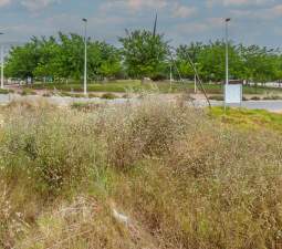 Terreno Urbano en venta en Oropesa Del Mar, Castellón