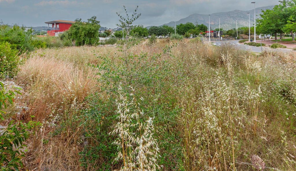 Terreno Urbano en venta en Oropesa Del Mar, Castellón