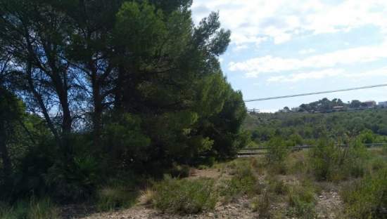 Descubre suelo urbanizable residencial por 24500 con 7353m en cpolgono  5  parcela tosal gros Oropesa del MarOrpesa