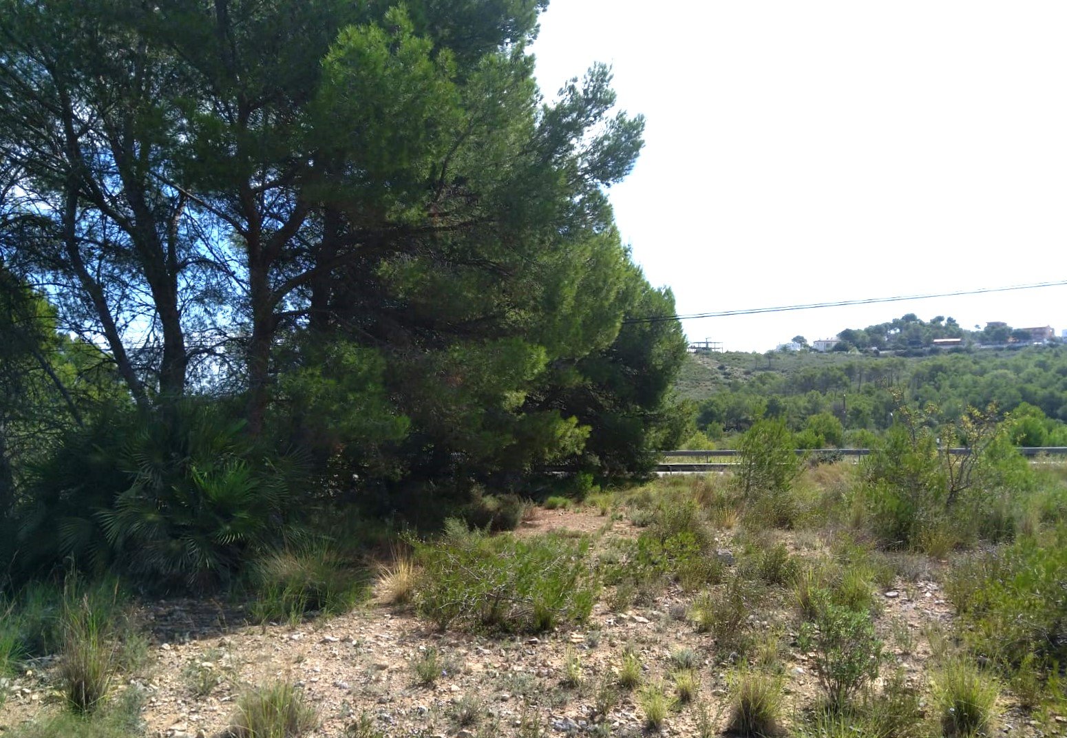 Terreno Rústico en venta en Oropesa Del Mar, Castellón
