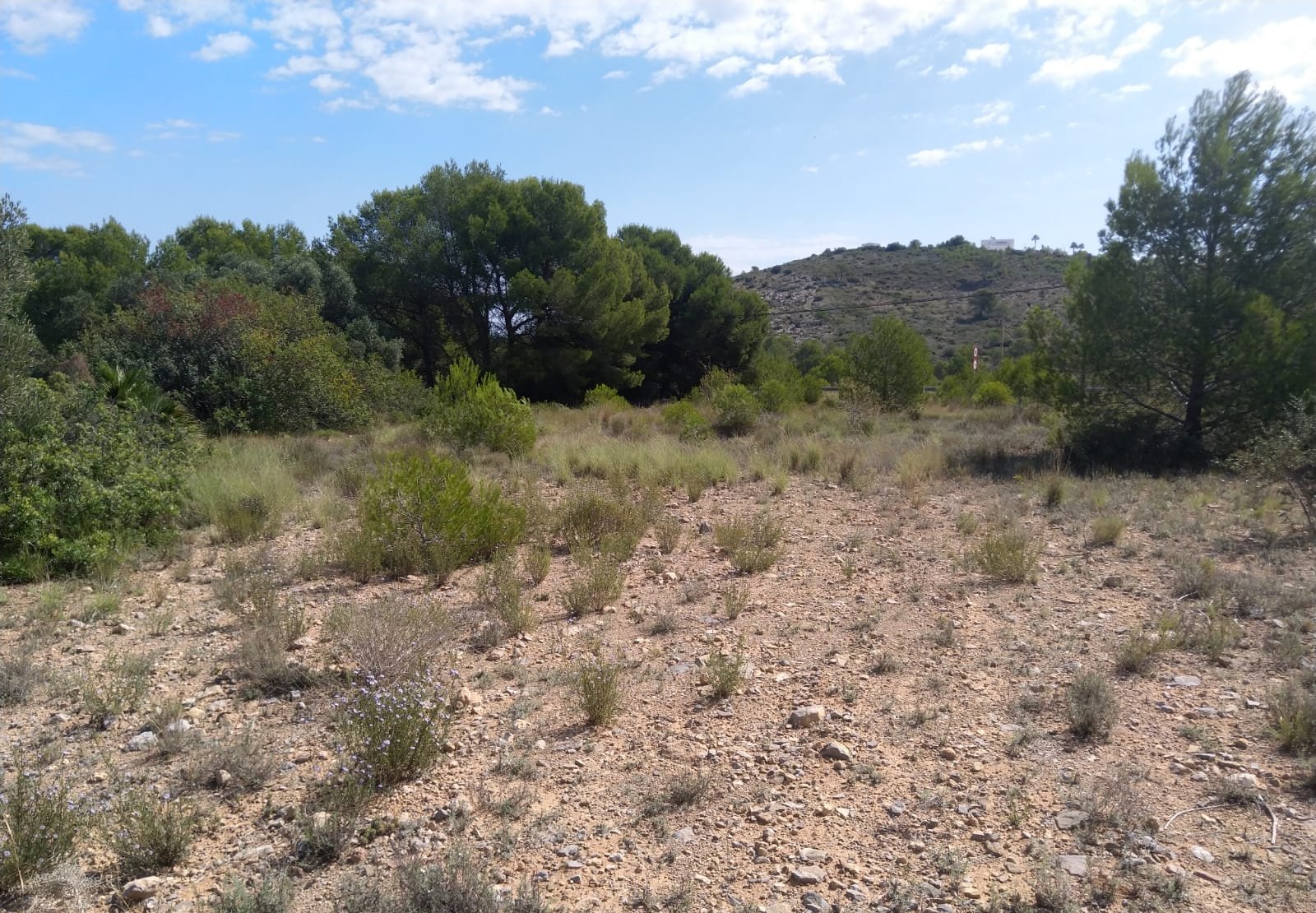 Terreno Rústico en venta en Oropesa Del Mar, Castellón