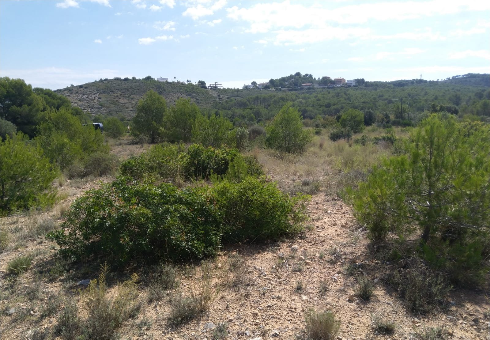 Terreno Rústico en venta en Oropesa Del Mar, Castellón