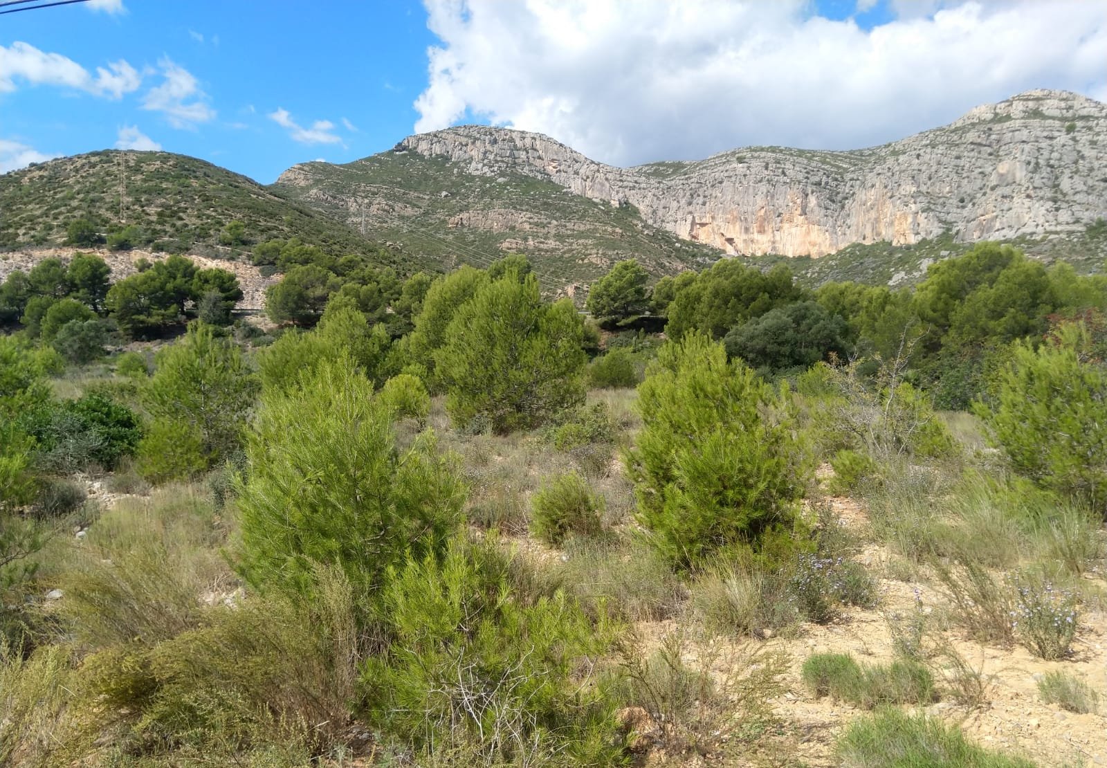 Terreno Rústico en venta en Oropesa Del Mar, Castellón