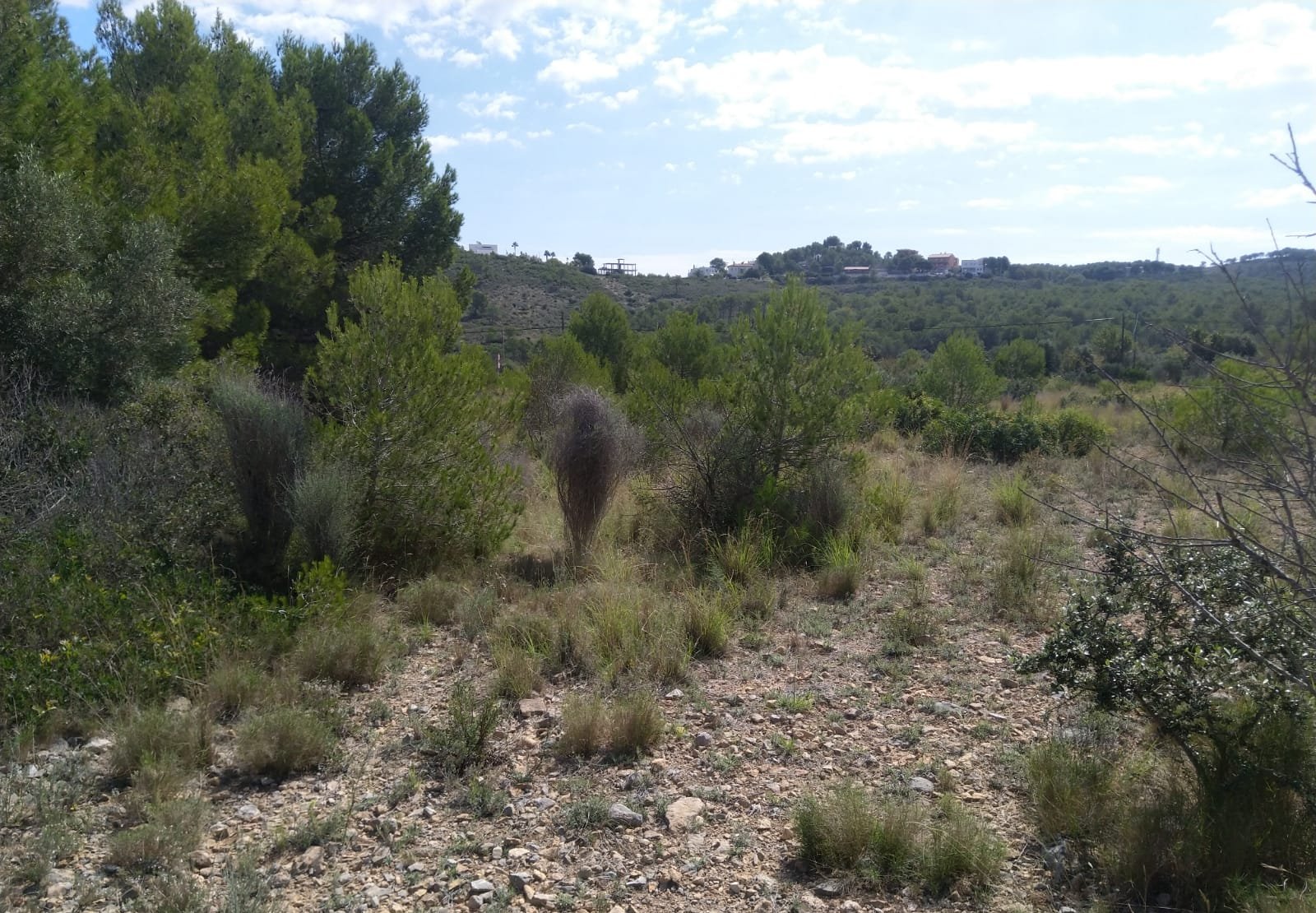 Terreno Rústico en venta en Oropesa Del Mar, Castellón