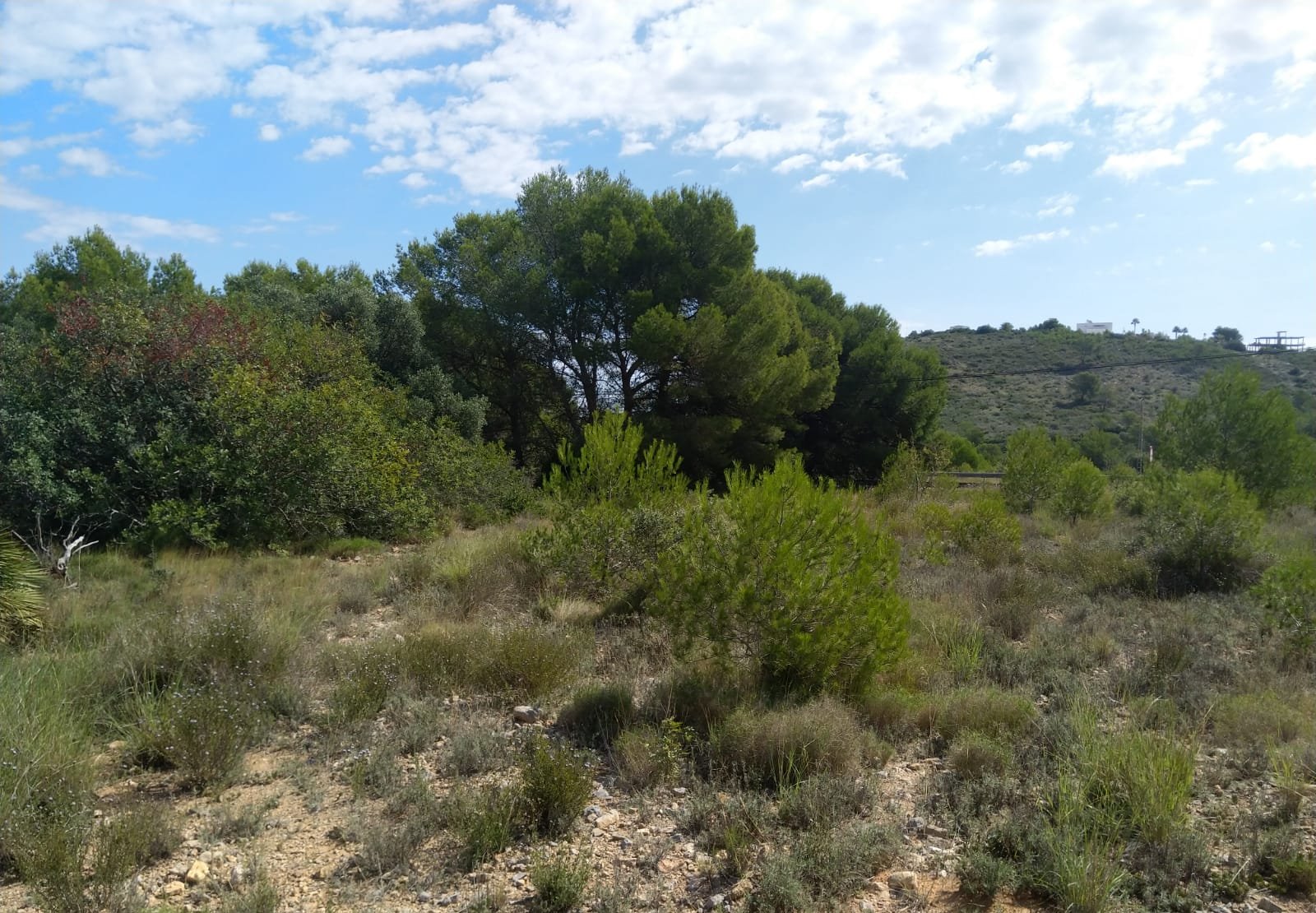 Terreno Rústico en venta en Oropesa Del Mar, Castellón