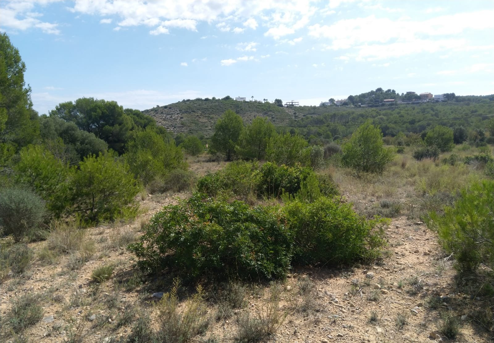 Terreno Rústico en venta en Oropesa Del Mar, Castellón