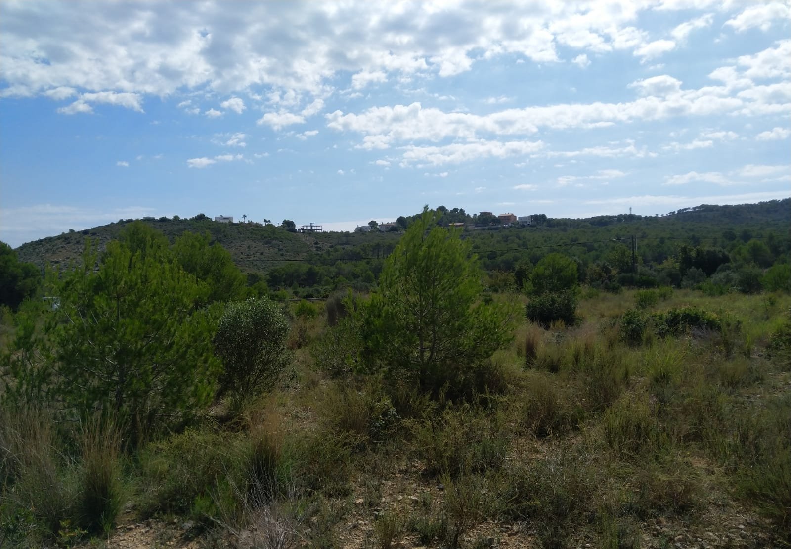 Terreno Rústico en venta en Oropesa Del Mar, Castellón