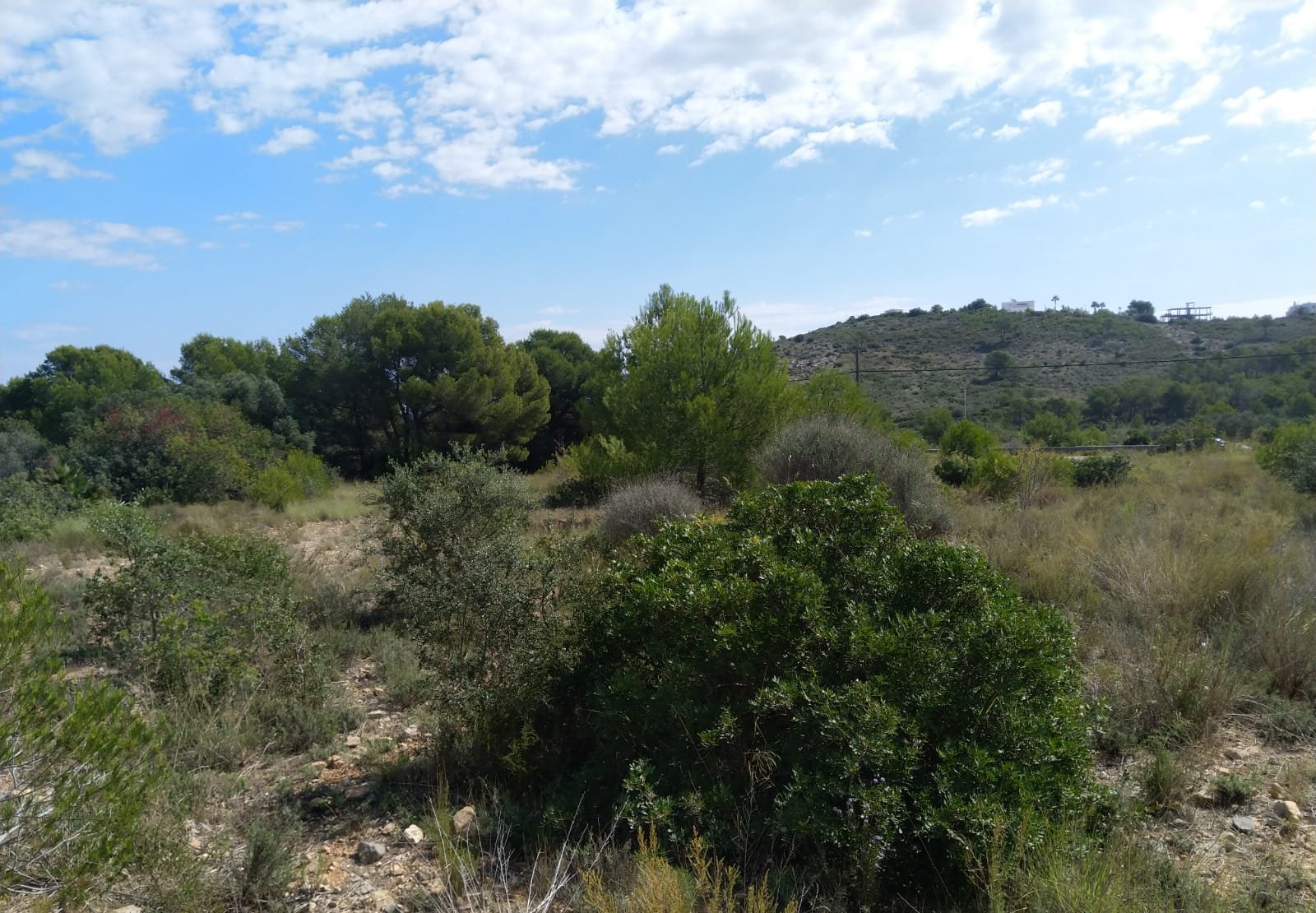 Terreno Rústico en venta en Oropesa Del Mar, Castellón