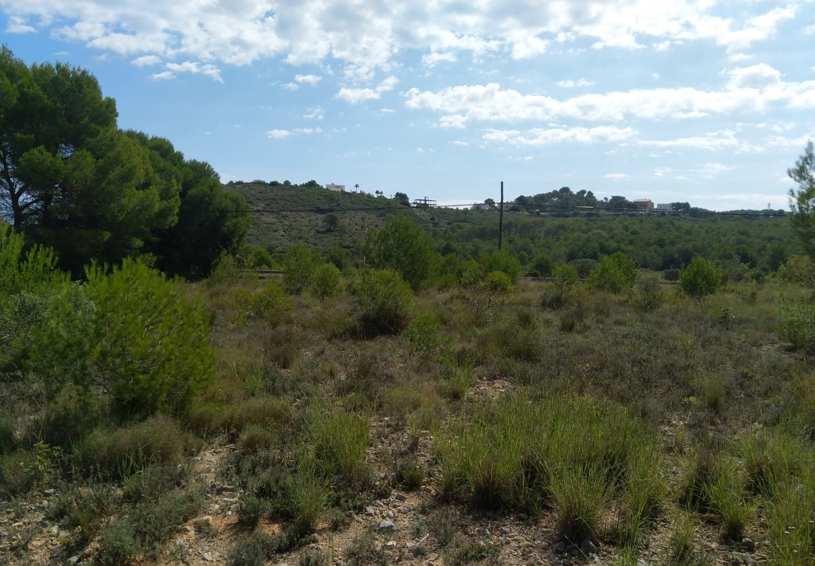 Terreno Rústico en venta en Oropesa Del Mar, Castellón