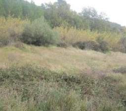 Compra tu finca rstica en clugar partida lomas Sant Mateu por 4000 con 3323m