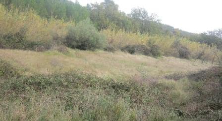 Compra tu finca rstica en clugar partida lomas Sant Mateu por 4000 con 3323m