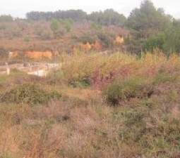 Compra tu finca rstica en clugar partida lomas Sant Mateu por 4000 con 3323m