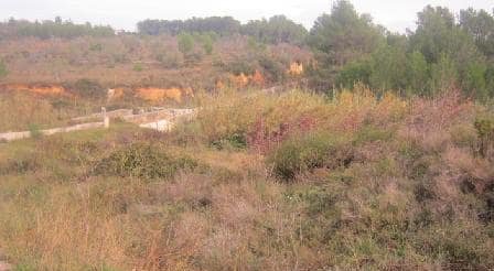 Compra tu finca rstica en clugar partida lomas Sant Mateu por 4000 con 3323m