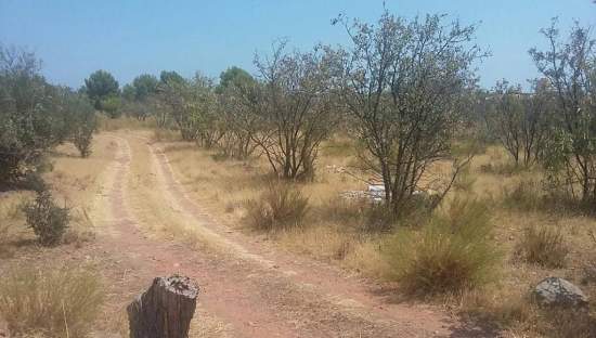 Urbanizable Programado en venta  en Pasaje Tossal De Les Forques Benicasim Castelln