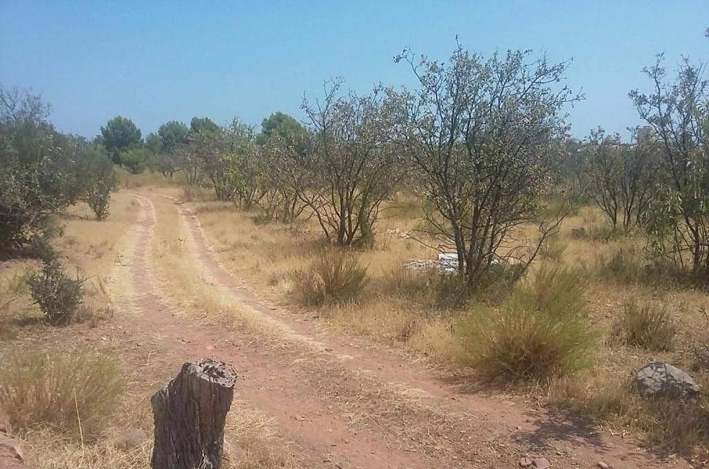 Urbanizable Programado en venta  en Pasaje Tossal De Les Forques Benicasim Castelln