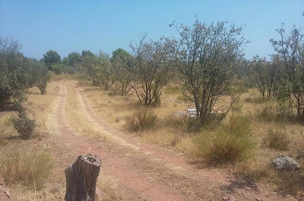 Urbanizable Programado en venta  en Pasaje Tossal De Les Forques Benicasim Castelln
