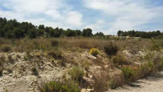 Solar en venta en Urbanizacin Nueva Caravaca Parc 1 Mz 43 Y Parc 1 Mz 49V Caravaca De La Cruz Murcia