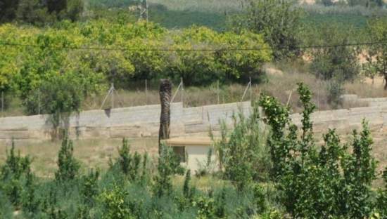 No Urbanizable Rstico en venta  en Partida Madronyal Torrente Valencia