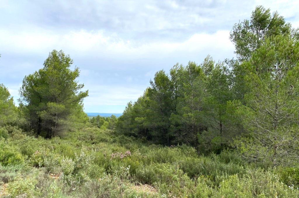 Adquiere suelo urbanizable residencial en calle la solana en MogenteMoixent por 102000 de 83752m