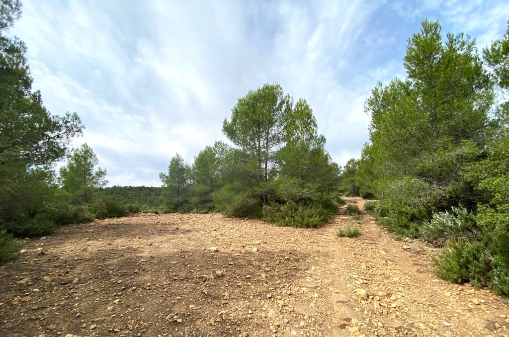 Adquiere suelo urbanizable residencial en calle la solana en MogenteMoixent por 102000 de 83752m