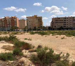 Urbanizable No Programado en venta  en Lugar Carrus Poligono Industrial Elche Alicante