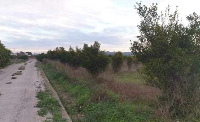 Compra finca rstica en cpartida foyes Manuel por 14000 de 3232m