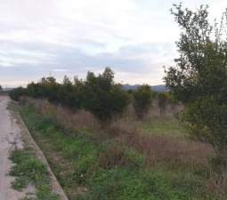 Compra finca rstica en cpartida foyes Manuel por 14000 de 3232m