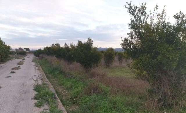 Compra finca rstica en cpartida foyes Manuel por 14000 de 3232m