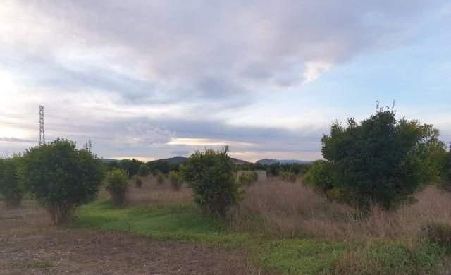Compra finca rstica en cpartida foyes Manuel por 14000 de 3232m
