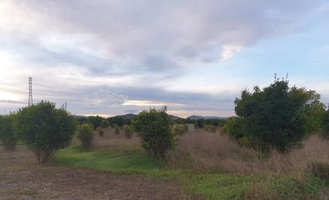 Compra finca rstica en cpartida foyes Manuel por 14000 de 3232m