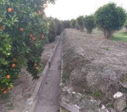 Compra finca rstica en cpartida foyes Manuel por 14000 de 3232m