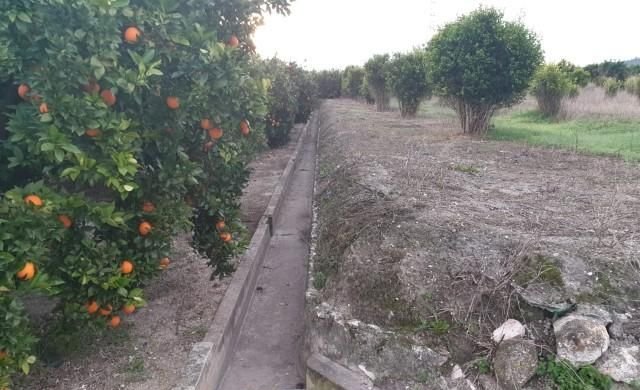 Compra finca rstica en cpartida foyes Manuel por 14000 de 3232m