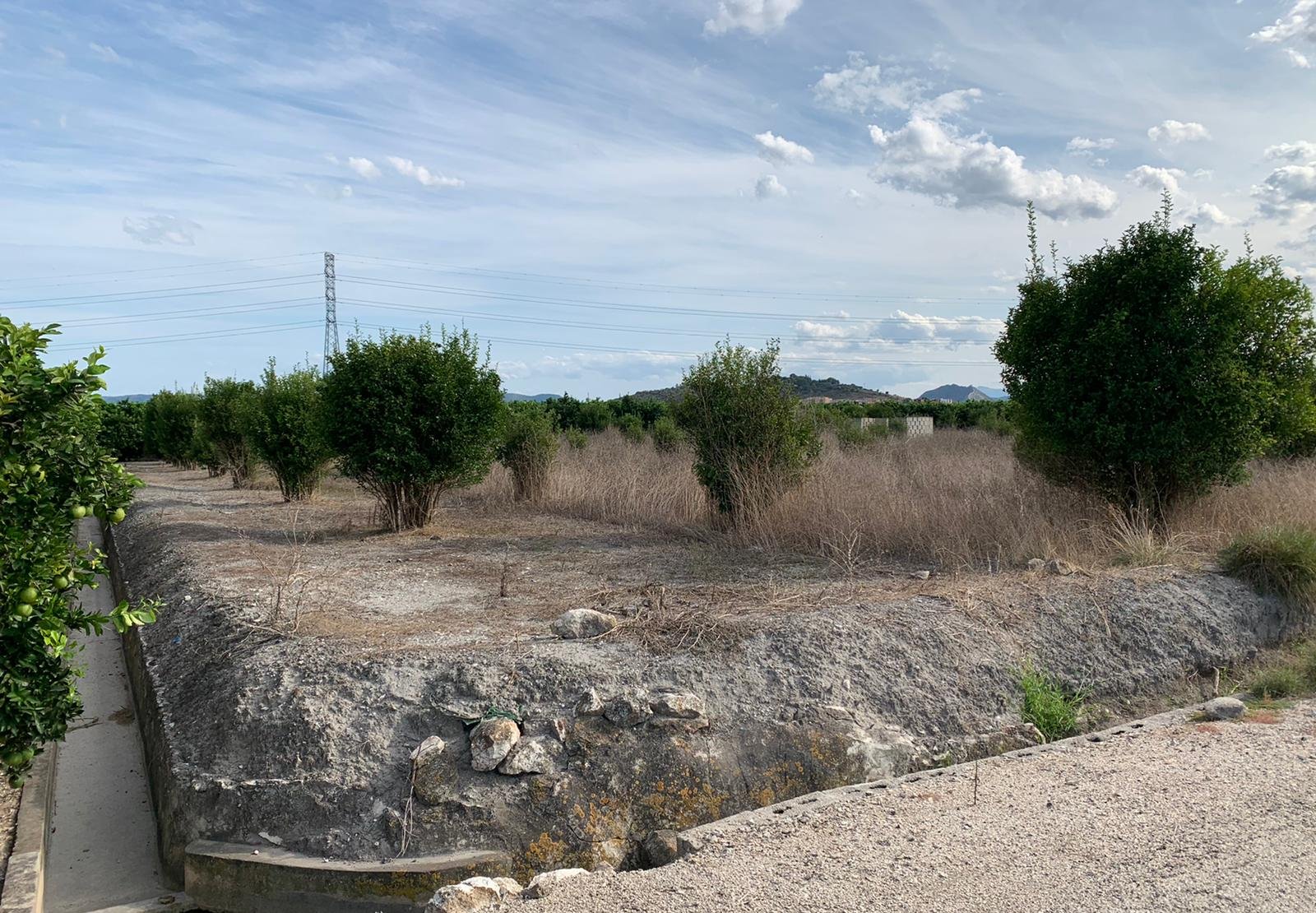 Compra finca rstica en cpartida foyes Manuel por 14000 de 3232m