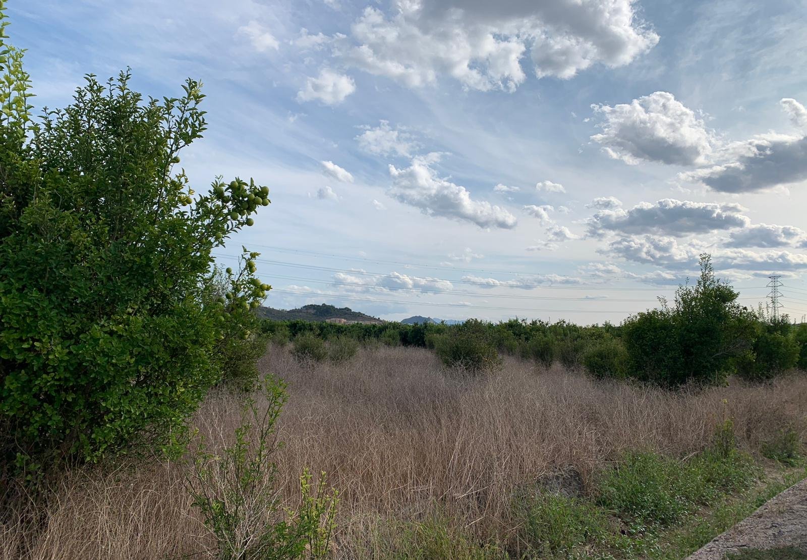 Compra finca rstica en cpartida foyes Manuel por 14000 de 3232m